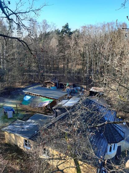 Wohnprojekt Unfug , Februar 2023 von einer Baumkrone aus aufgenommen
