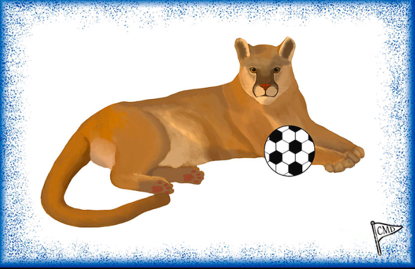 Our soccer cougar design shows a cougar with a blue background and a soccer ball.