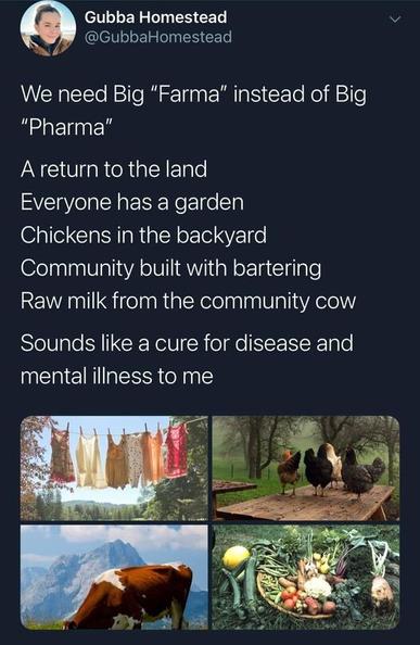 Post by @GubbaHomestead "We need Big "Farma" (spelt with an F) instead of Big "Pharma", A return to the land. Everyone has a garden. Chickens in the backyard. Community built with battering. Raw milk from the community cow. Sounds like a cure for disease and mental illness to me" Pictures below of farm scenes - clean laundry drying on a line with mountains in the background, chickens standing on a table covered in leaf litter in a forest, a cow grazing with mountains in the backyard, and a harvest of vegetables gathered in and around a basket on the grass.