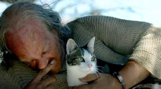 In Black Sails, Randall the cook cuddles with his cat Betsy