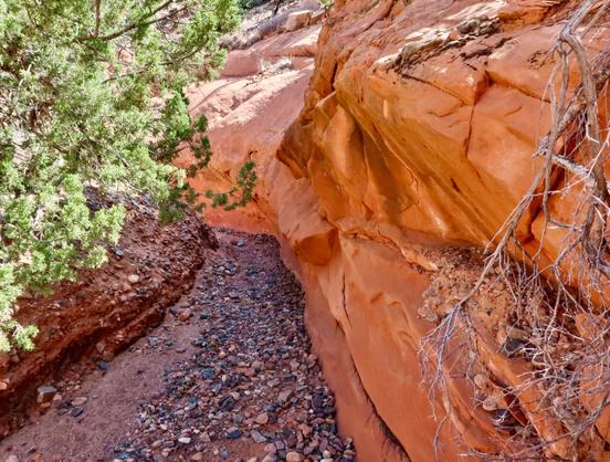 Canyon walls