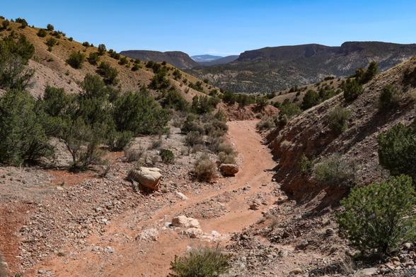 Wash canyon and mountains in background.