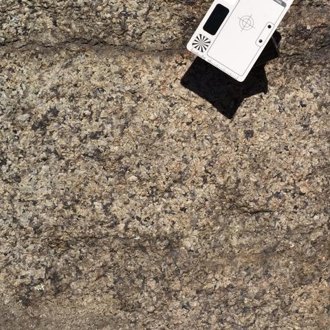 A slightly weathered face of Quincy Granite, with euhedral dark amphiboles and some feldspars, and anhedral quartz. Scale card and white reference at upper right, the view is about 20 centimeters wide and high. My photo.