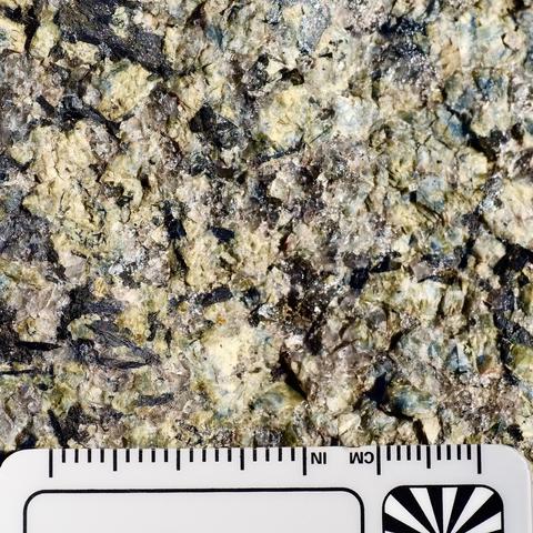 A close up photo of a relatively fresh face of the riebeckite facies of Quincy Granite. The blue amphibole that gives the granite its prized hue is visible, along with abundant blade-shaped darker amphiboles. Parts of the image are blurred because the face is rugose and this close up has very limited depth of field. Scale card and white reference at bottom of photo, image area is about 5 centimeters wide and high. My photo.