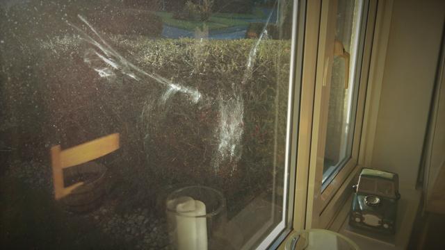 #BirdStrike