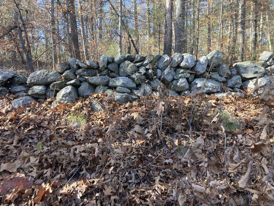 A picture I took of the areas where the Demon was seen — a dry-stack stone wall off the side of a New England road.
