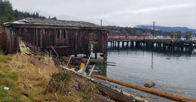 Abandoned, decaying boat shed & old fishing boat wreck.  Boat was named: Glenda Lynn.  Alert Bay marina is in the background.