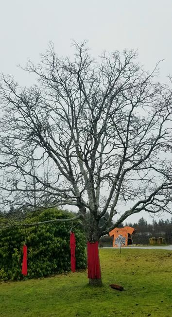 MMIWG & Every Child Matters memorials in Alert Bay on Cormorant Island.