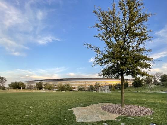 A picture of Apple Park.