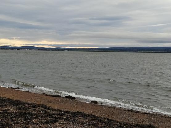 Two fins in the middle distance of a calm sea, a pebble beach in the foreground and an overcast sky. Invokes a chilly Scottish wind that was blowing through