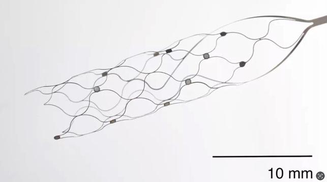 A brain activity-recording device called Stentrode that looks like a long skinny net, only a couple centimeters long - black and white photo