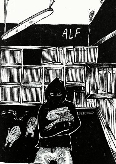 Illustration of an animal activist freeing rabbits from battery cages. ALF is written on the wall of the room.