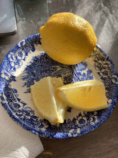 Photo of lemon slices and a lemon on a blue and white transferware plate