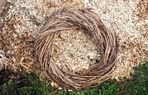 Ein großes Bündel Stängel der gewöhnlichen Waldrebe (Clematis vitalba) zu einem Kranz geflochten. Andere Leute können das besser *lol*.