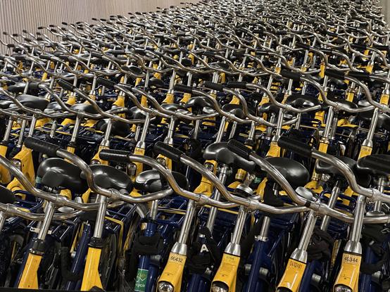 Utrecht NL has around 2,000 rental bikes. 

The bikes are basic -- single speed, a kickstand, back rack, lights, and no handbrakes. Not much to break or fix. 

Thousands of OVfiets are rented just from Utrecht every day. I'd guess about 1,000 bikes are pictured here at 8PM Thursday night.