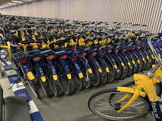Back ends of 500 or so OvFiets rental bikes in Utrecht's bike parking garage that is under the train station. 

The train station lots hold around 10,000 bikes with special spaces for parent bikes, cargo bikes, and a bike shop.