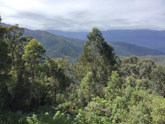 View towards Kosciusko from Khancoban side