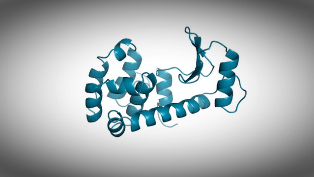 Strukturgrafik eines funktionalen künstlichen Proteins, das die KI von ProGen entworfen hat (gekräuseltes Spiralband)