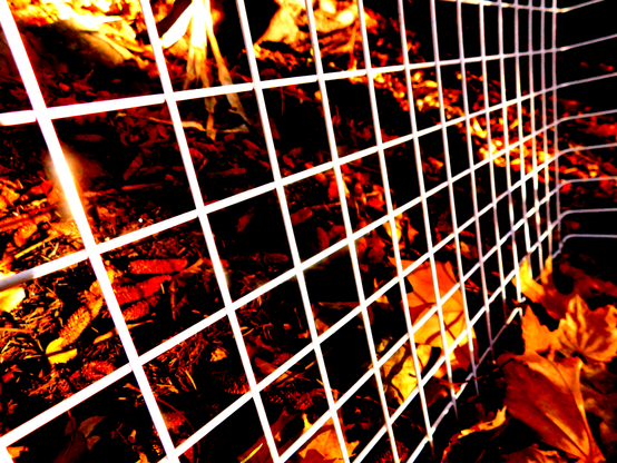 Lattice
By Carl J Shoemaker