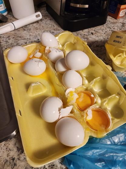 Photo of open egg carton containing the shattered remains of the better part of a dozen, expensive eggs.