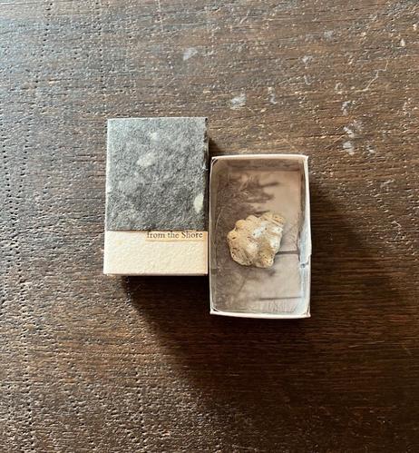 Match Box wrapped with dark gray and cream paper.  The phrase on the box reads "from the Shore." Inside, a fragment of a white seashell on the black and white photograph from a magazine scrap.