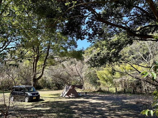 A park in a wooded area on a sunny day with a black car and a tent