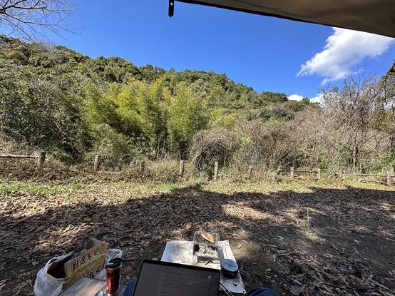 A view of trees out from a tent. There is a table with a thermos of coffee. A camp grill with a chicken breast being fried on it. A laptop screen is partially visible.