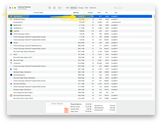 Activity Monitor screenshot featuring LogiOptions+ using 44GB of memory.
