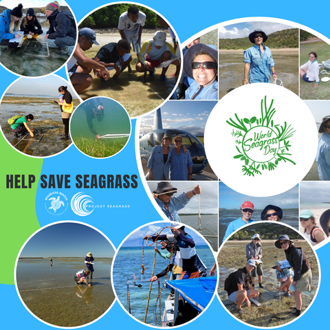 It's World Seagrass Day, 01 March 2023.