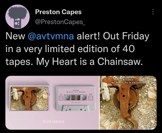pack shot of forthcoming autumna album on the Preston Capes label