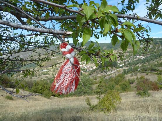 Red and white yarn braid tied to a branch, mountains in the background