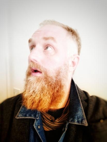 A selfie of a 46 year old human with a reddish bearded balding face