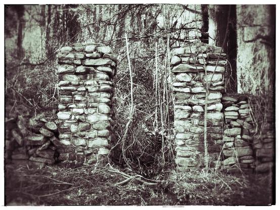 Stone gateposts. The only remaining evidence of an old stone wall found on the grounds of the Ukrainian Homestead between #Lehighton and Jim Thorpe, #Pennsylvania. This is a black and white image taken in 2005. A vignette technique highlights the gateposts and remaining wall fragments which are slowly being enveloped and broken down by nature.