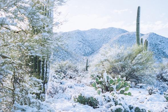 snowy desert scene, everything is covered - including the mountain