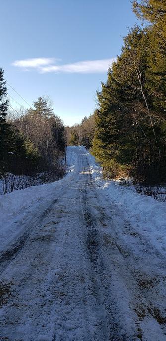 Plowed icy dirt road looking downhill. High snowbanks on either side which is lined with tall trees. The sky is blue with a few small wispy clouds.