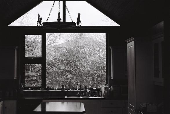a lanscape orientation black and white photograph of a large kitchen window, taken in 90 degrer angle. The scene is very contrasty, trees can be seen outside. Underneath the window outlines of kitchen tap and objects on the windowstill are silouetted against the light.