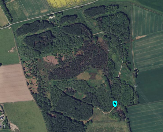 Satellite view of community woodland, showing a marker for a geohash point near one of the paths.