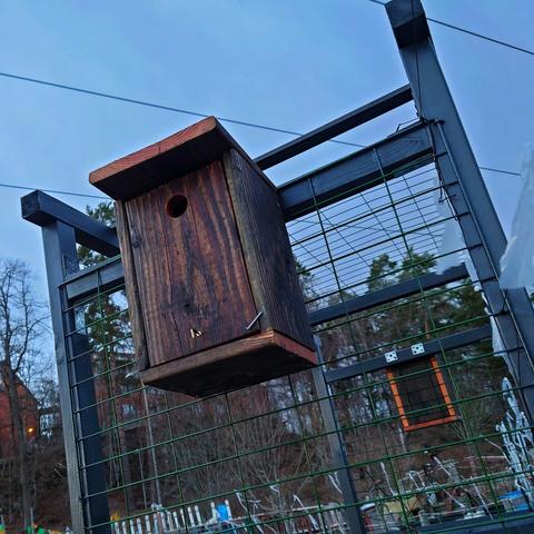 Två fågelholkar på en trädgårdsportal.