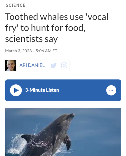 "In a vocal fry register," explains Elemans, "your vocal folds are mostly slack, so they're #thick and #heavy, and they #vibrate at their #lowest #frequencies. And in the #falsetto #register, they're stretched very long and the #tension is very high. And this leads to the #highest frequencies."

#NPR #VocalFry #ToothedWhale #VocalFryRegister #VocalFolds
#Whale #WhaleSongs