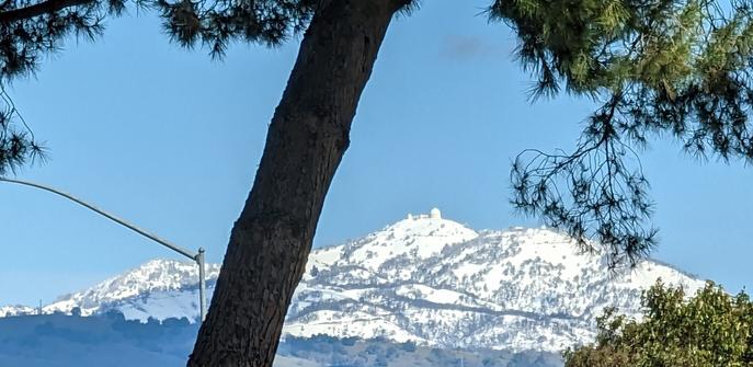 A snow covered Mt. Hamilton against a clear blue sky.  A pine tree trunk in the foreground indicates that this photo was taken using a zoom.  Details including the Mt. Hamilton Observatory buildings are easy to recognize.
