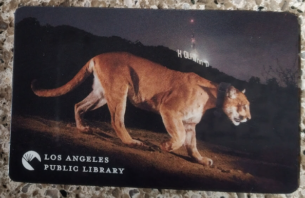 Los Angeles Public Library card with a photo of the mountain lion known as P22.