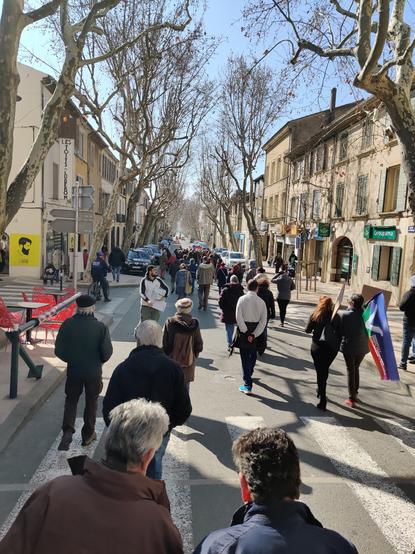 Petit aperçu de la manifestation dans une rue de Pertuis. On y voit des gens de dos, en train de marcher.