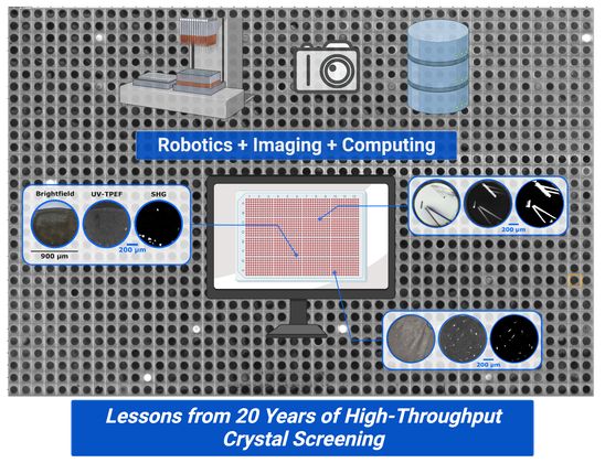 Image showing the HT 1536 crystallization screen in the background, with zoomed in images of individual wells with positive crystal hits (brightfield, UV-TPEG, & SHG imaging).