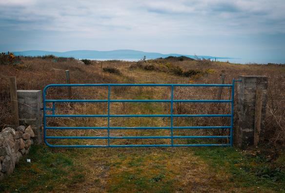 A nice blue gate in front of a field