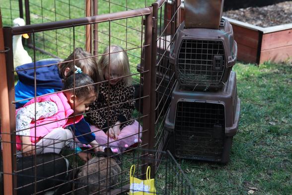 Three children pet a rabbit together at a mobile petting zoo. The birthday girl wears her Shania Twain jacket and festive skirt.