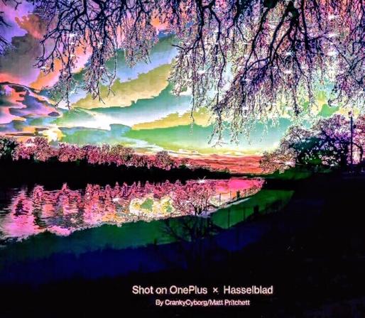 same photo as previous post 
but with multiple #Instagram filters & edits in Google Photos.