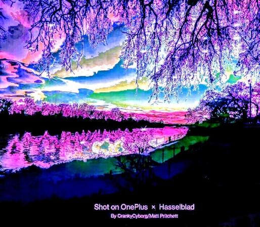 same photo as previous post but EVEN MORE edits in Google Photos.
A lot more blues & pinks & white highlights, less yellowish green & less greens overall.