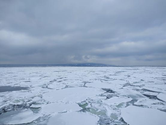 Patches of sea ice swimming on the ocean near a coast on a cloudy day