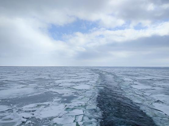 Patches of sea ice swimming on the ocean on a cloudy day