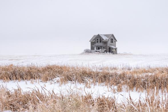 A derelict and abandoned wooden farmhouse stands alone on the snow covered plains. Two lines of long golden prairie grass lie across the foreground